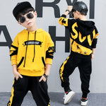 2019 Spring Autumn Kids Clothes Boys 3 4 5 6 7 8 9 10 11 12 Years Boys Clothing Set Sports Suit Boys Hooded Jacket And Pants